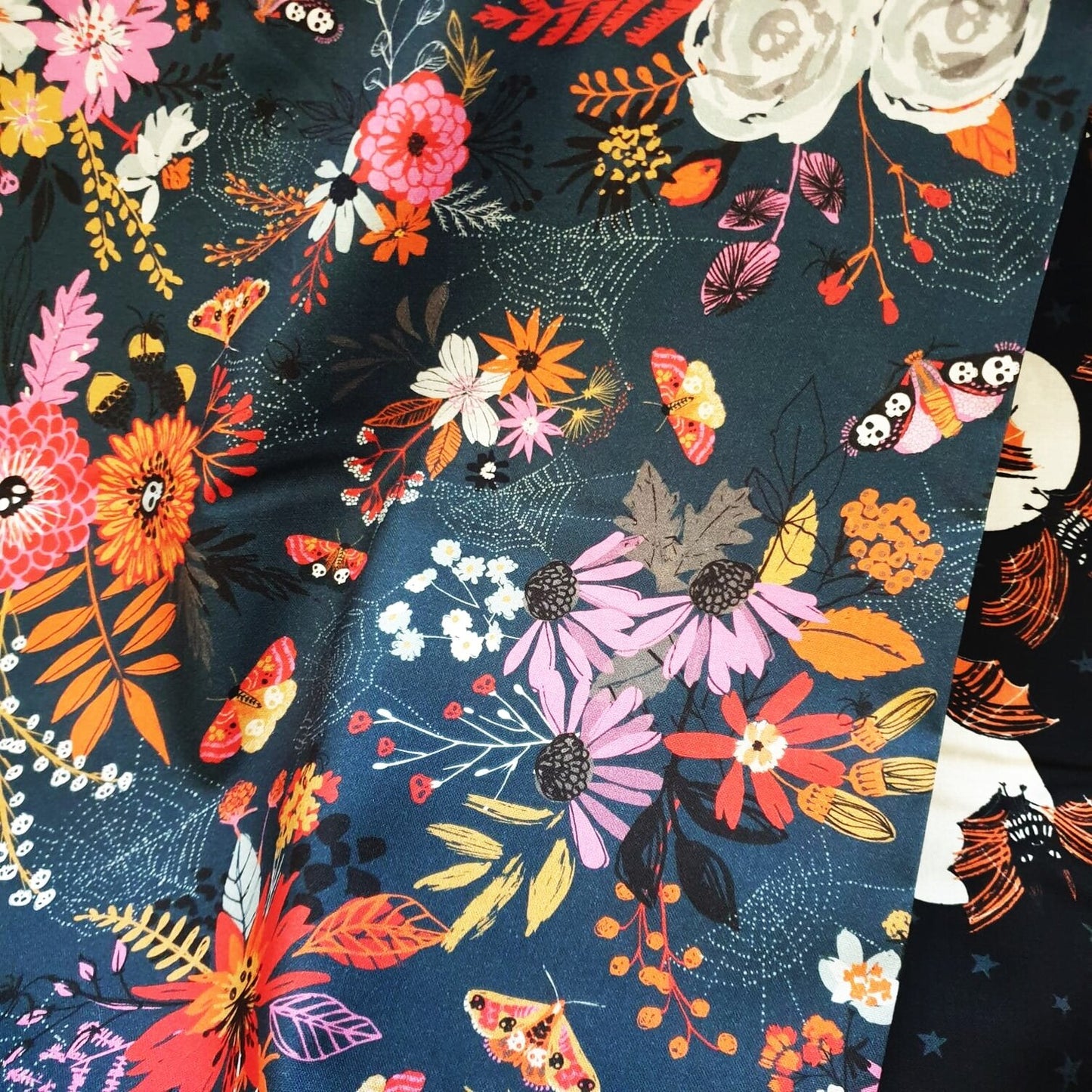 Full Moon Spiderwebs | Dashwood Studio