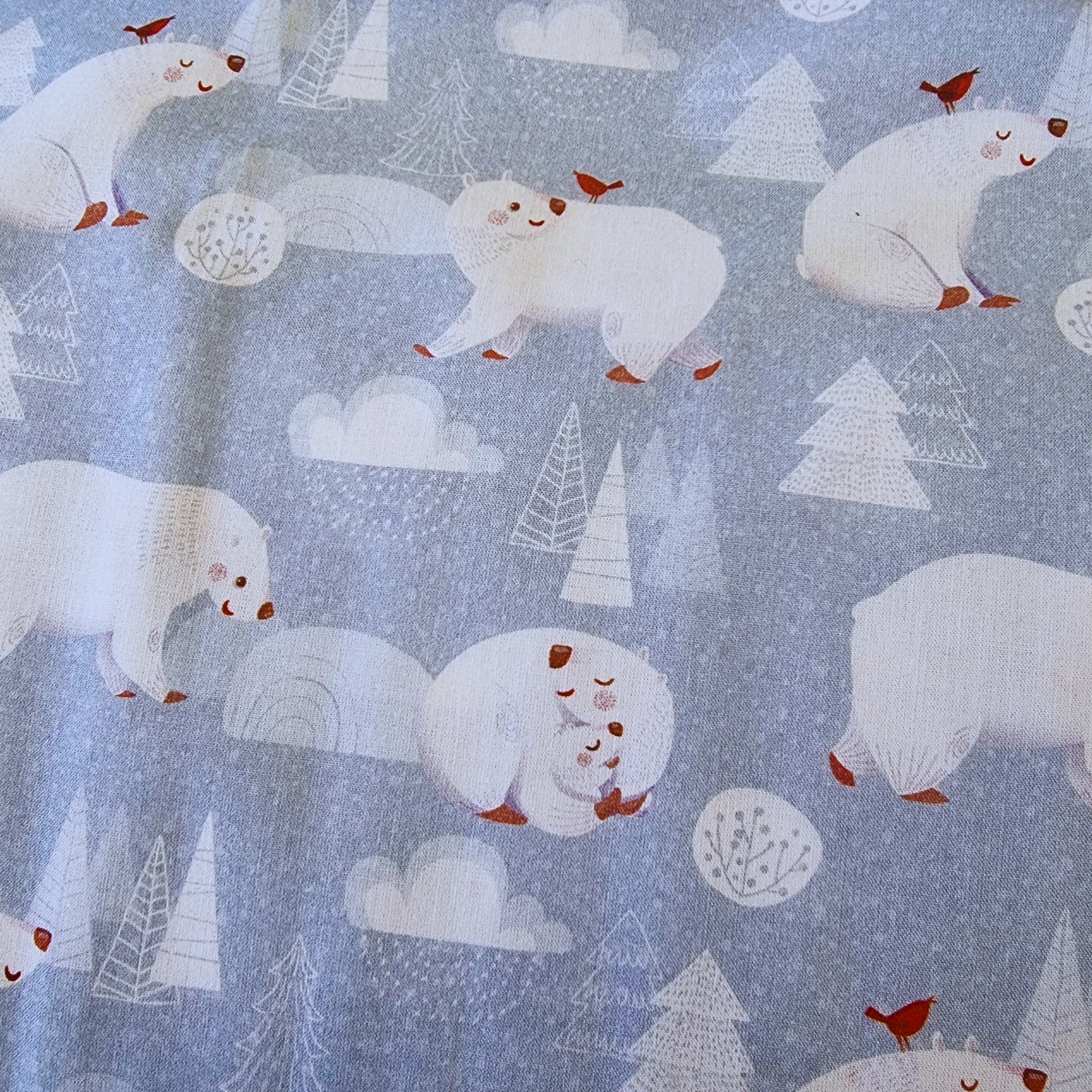 Polar Bear Christmas | Little Johnny