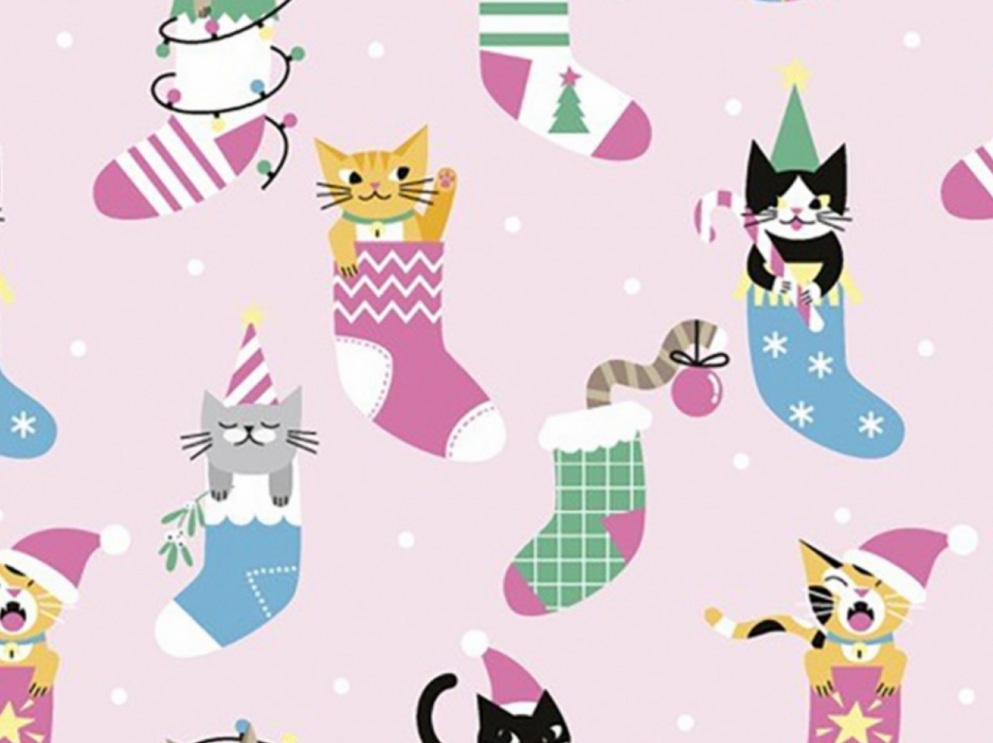 Cats Party Cotton | Little Johnny